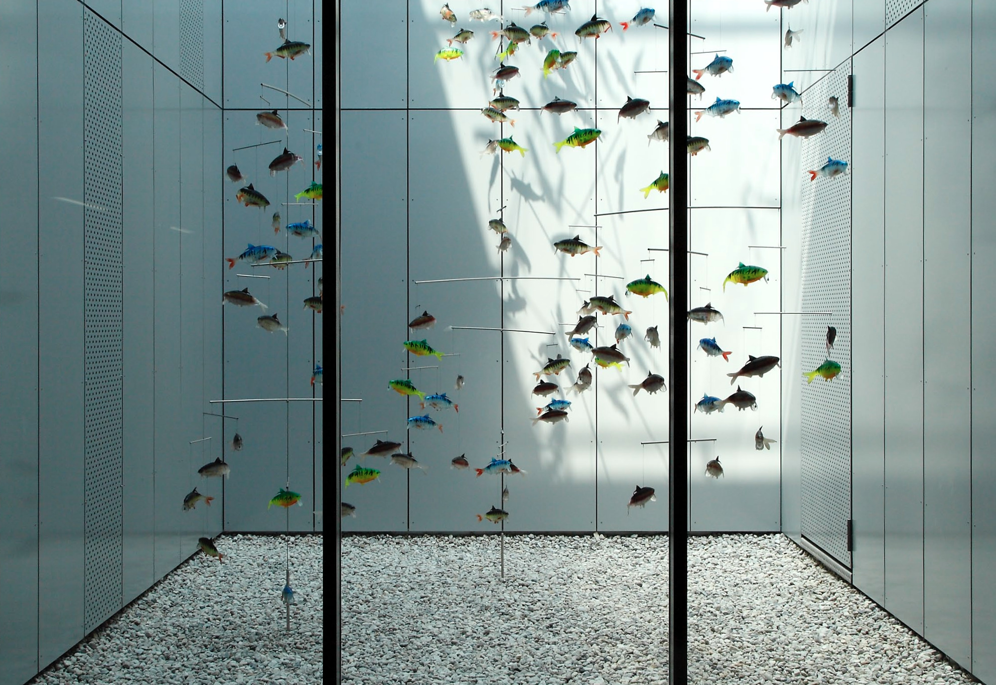 kleine Fische 10